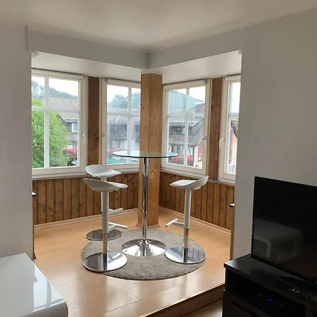 Apartment Wiesemann Parkappartements & Dependance - Naehe Ettelsberg-talstation Willingen (Upland)