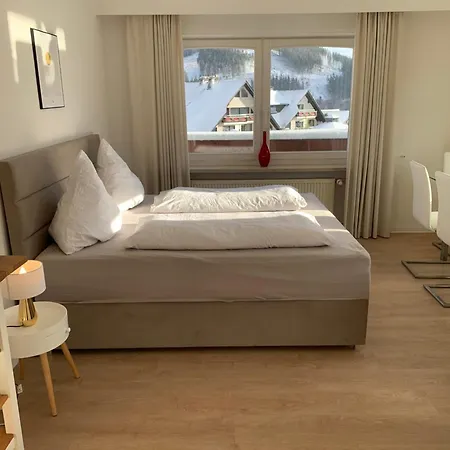 Wiesemann Parkappartements & Dependance - Naehe Ettelsberg-talstation Apartamento Willingen (Upland)