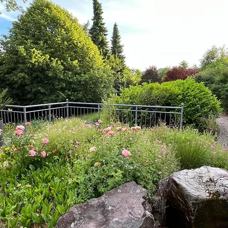 Wiesemann Parkappartements & Dependance - Naehe Ettelsberg-talstation Apartamento Willingen (Upland)