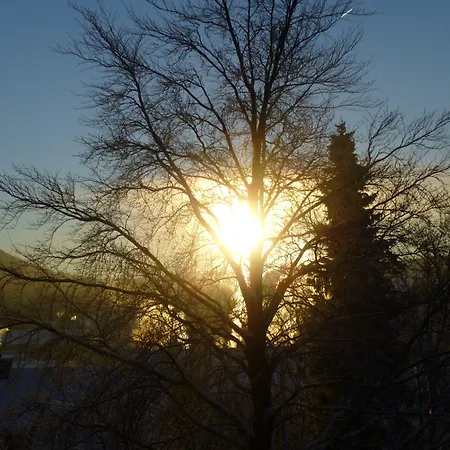 公寓 Wiesemann Parkappartements & Dependance - Naehe Ettelsberg-talstation *