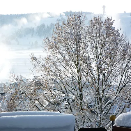 Wiesemann Parkappartements & Dependance - Naehe Ettelsberg-talstation 公寓