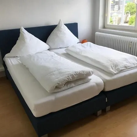 Wiesemann Parkappartements & Dependance - Naehe Ettelsberg-talstation 아파트 빌링겐