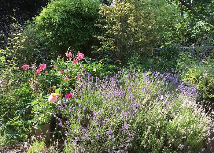 Apartment Wiesemann Parkappartements & Dependance - Naehe Ettelsberg-talstation *