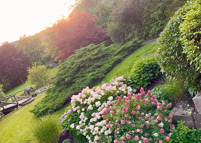 Wiesemann Parkappartements & Dependance - Naehe Ettelsberg-talstation