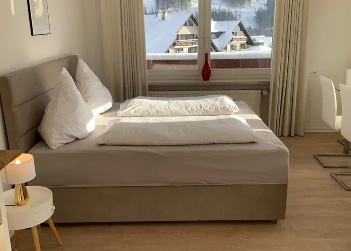 Wiesemann Parkappartements & Dependance - Naehe Ettelsberg-talstation Apartment Willingen (Upland)