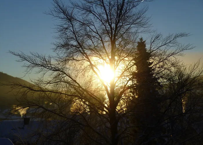 Apartment Wiesemann Parkappartements & Dependance - Naehe Ettelsberg-talstation *