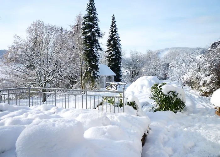 Wiesemann Parkappartements & Dependance - Naehe Ettelsberg-talstation Willingen (Upland)