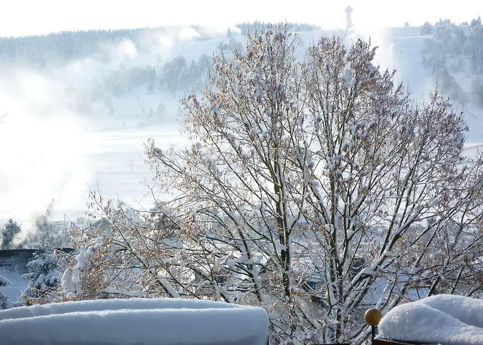 Wiesemann Parkappartements & Dependance - Naehe Ettelsberg-talstation Apartment